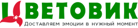 Магнит
