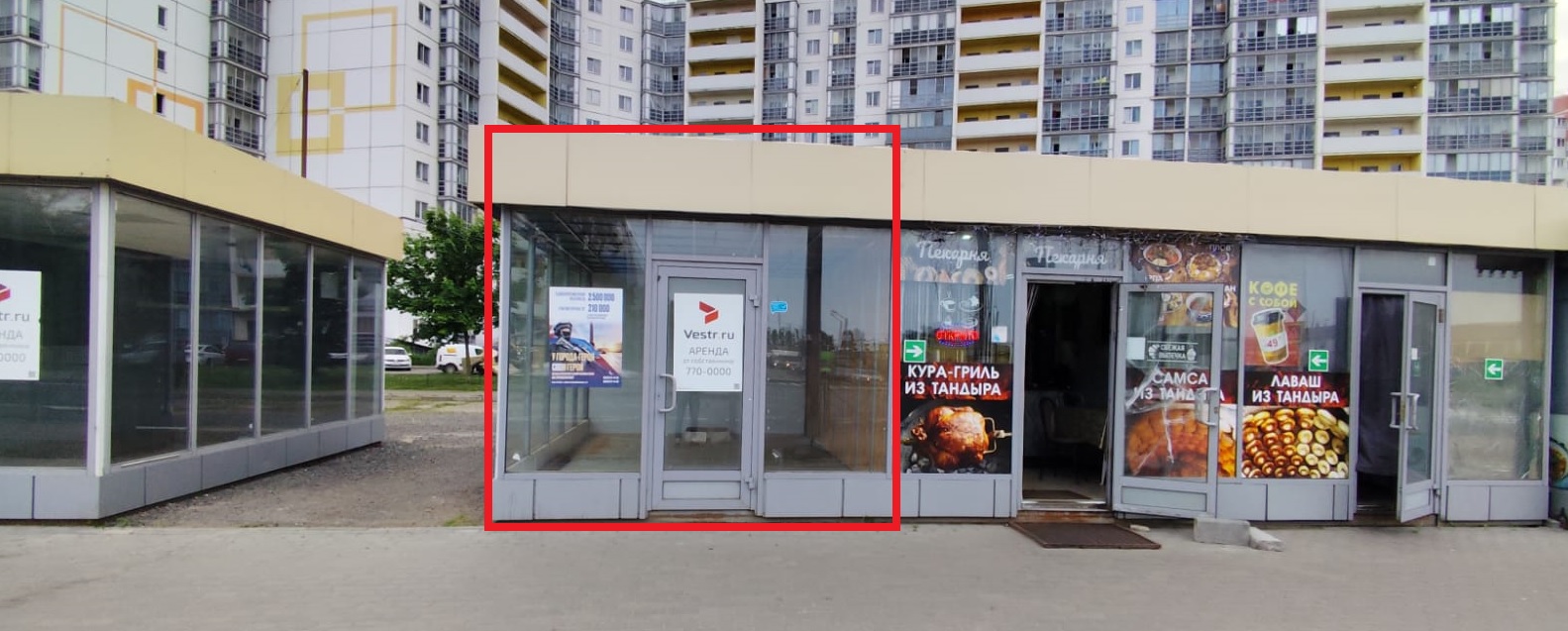 Шушары, Московское шоссе, 246 (17 кв метров)