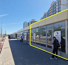 Шушары, Московское шоссе, 246 (34 кв метра)