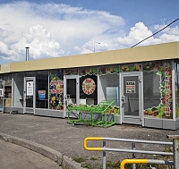 Шушары, Московское шоссе, 244 (50 кв метров)