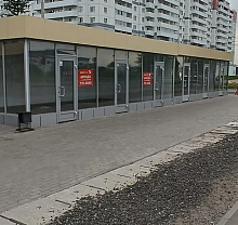 Шушары, Московское шоссе, 246 (100 кв метров)