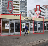 Шушары, Московское шоссе, 246 (17 кв метров), вид на шоссе