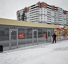Шушары, Московское шоссе, 246 (50 кв метров)
